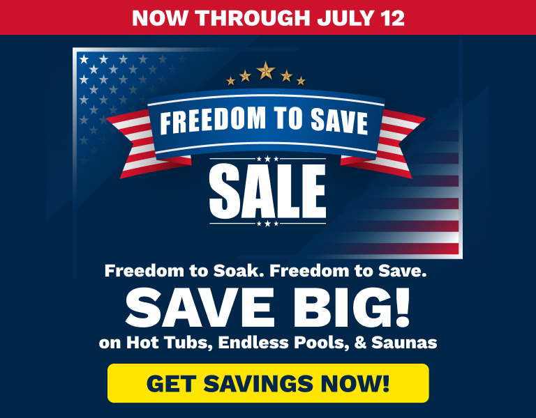 Blue sale banner with bold 'SAVE BIG!' and a yellow 'GET SAVINGS NOW!' button, featuring stars and stripes motif. (Informative promotion)